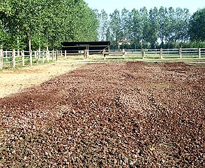 image06_g.jpg